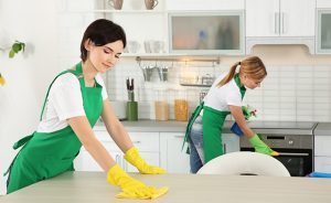 Bond Cleaning Bridgeman Downs