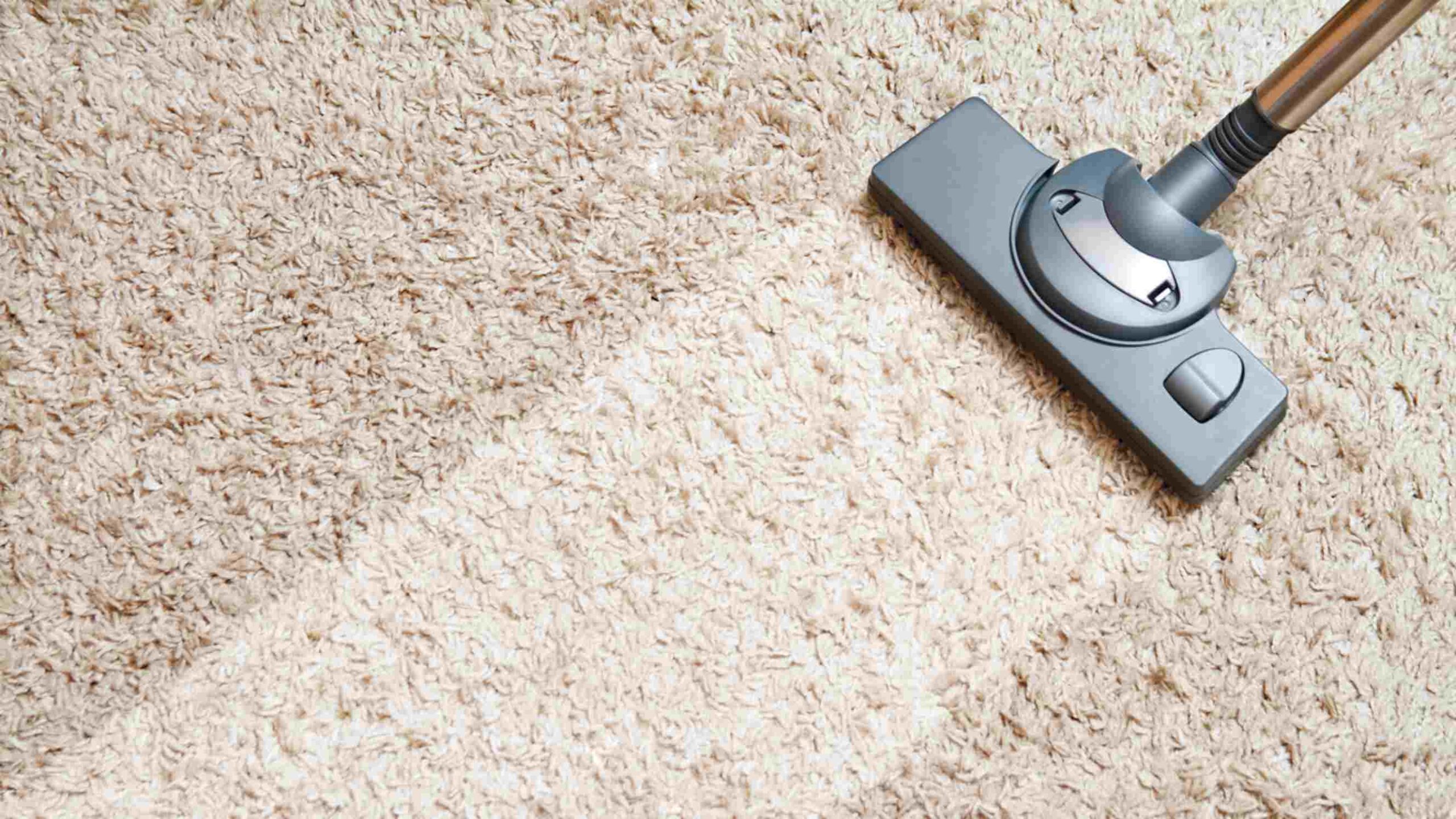 Steam Carpet Cleaning vs. Dry Carpet Cleaning: Which is Better for Brisbane Homes? deep steam cleaning removing stains from carpet