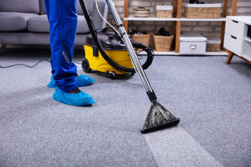 steam carpet cleaning process in Brisbane home