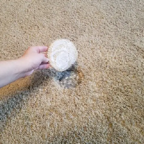 Carpet Cleaning Brisbane Carpet Cleaning Brisbane