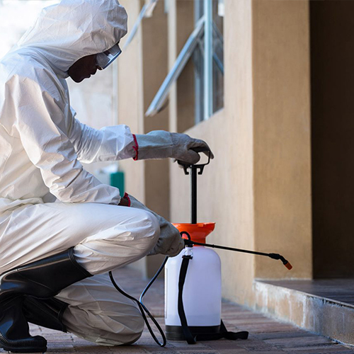 Pest Control Brisbane Pest Control Brisbane