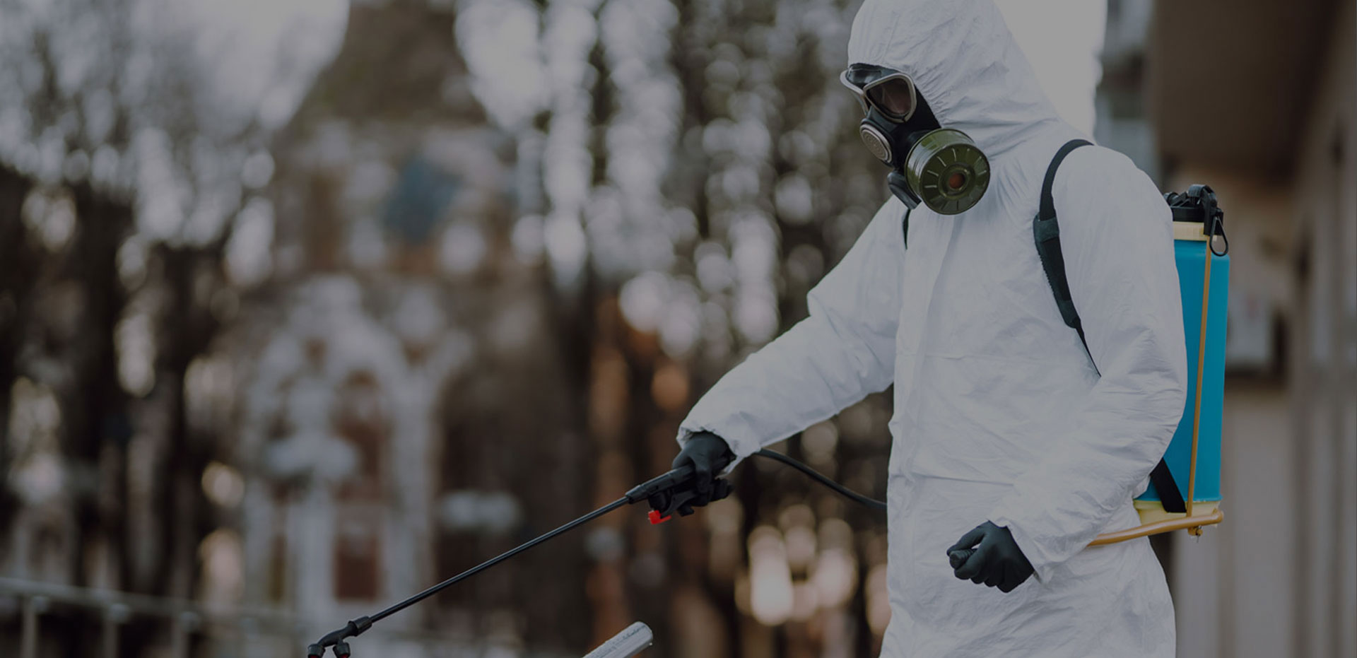 Pest Control Brisbane