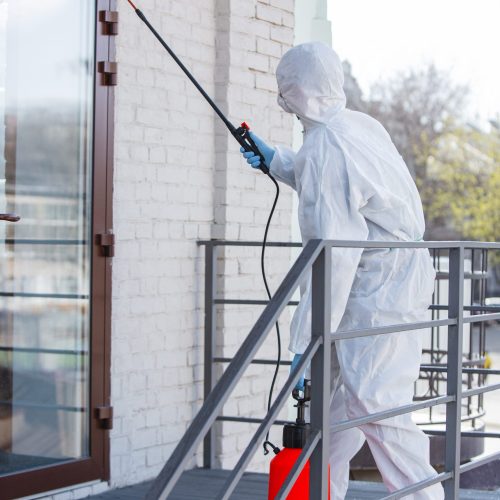 Pest Control Brisbane