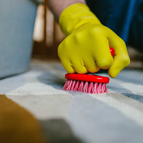 Carpet Cleaning Brisbane
