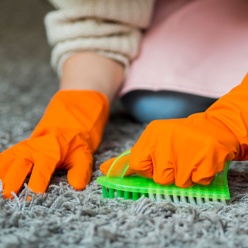 Carpet Cleaning Brisbane Carpet Cleaning Brisbane