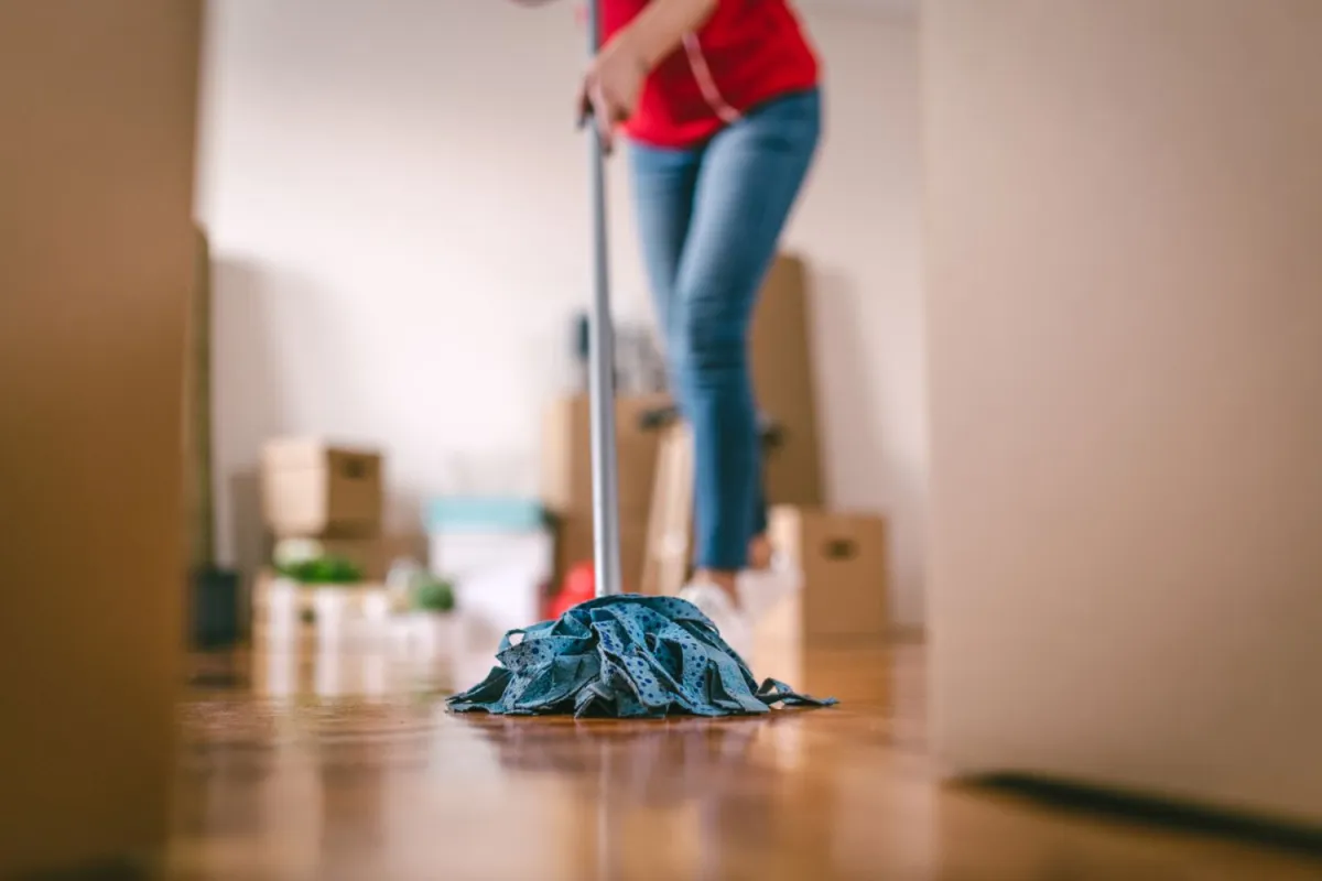 Move in/out Cleaning Brisbane Move in/out Cleaning Brisbane