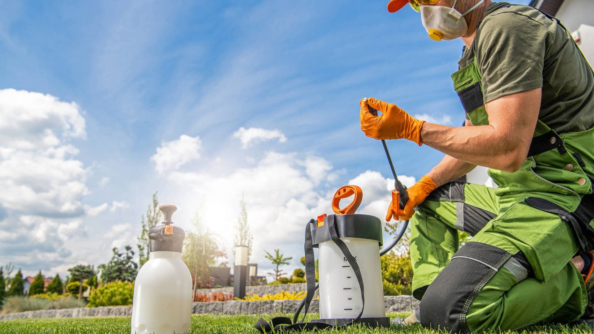 Chemical Pest Control vs. Natural Pest Control: What Works Best in Brisbane? Comparing-Herbal-And-Chemical-Pest-Control