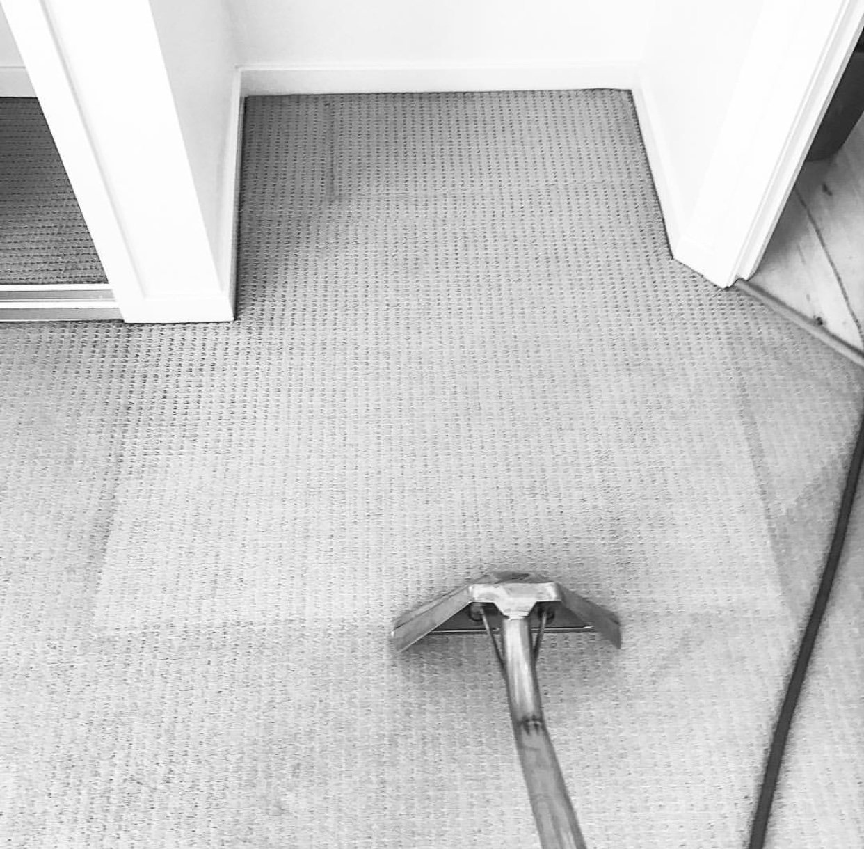 Carpet Cleaning For Renters In Brisbane: What You Need To Know Before Vacating Bond cleaning carpet service for renters in Brisbane